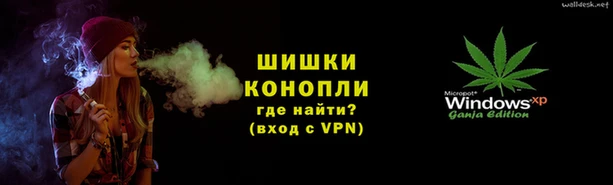 сатива Гусь-Хрустальный