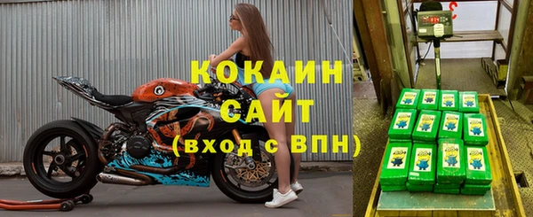 сатива Гусь-Хрустальный