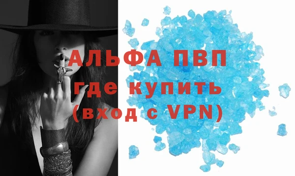 сатива Гусь-Хрустальный