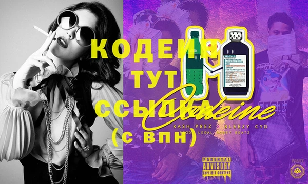 сатива Гусь-Хрустальный